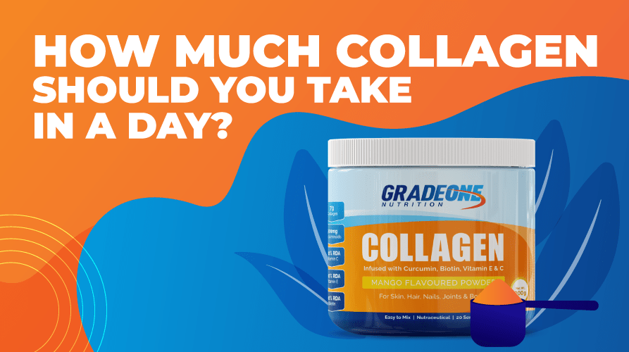 How Much Collagen Should You Take in a Day